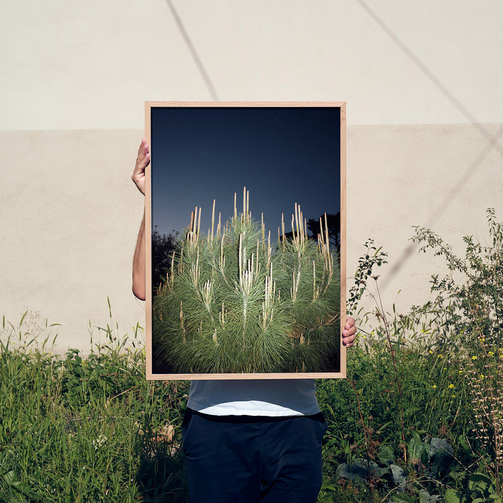 interior design wall art ideas by Claude Gasser for Edition3000