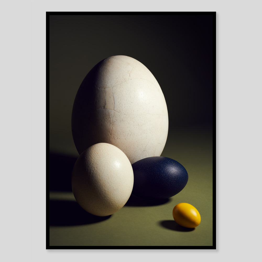 photography poster by Claude Gasser with Wunderkammer for edition 3000