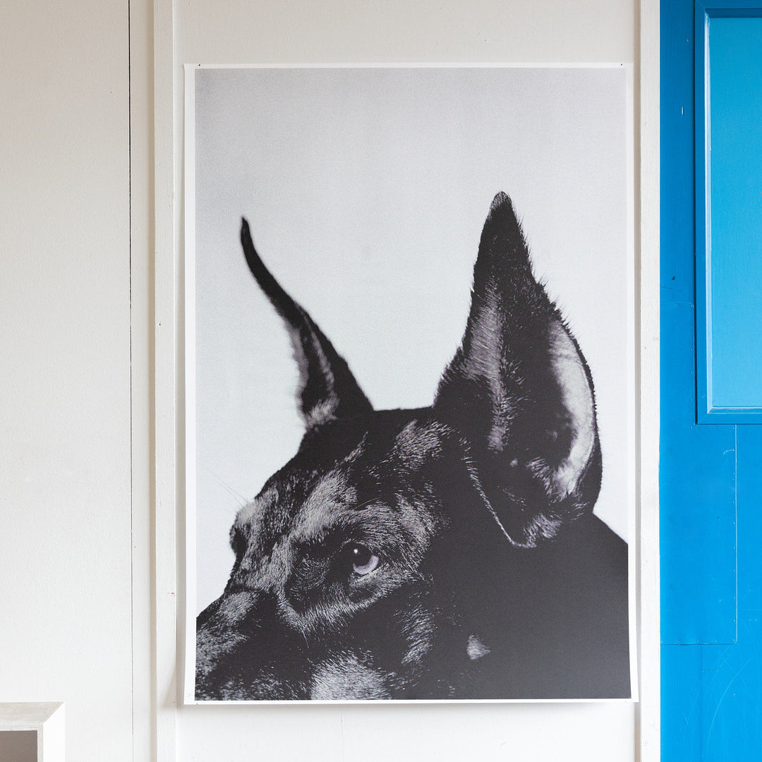 Limitierte Kunst von Cyrill Matter und Edition3000