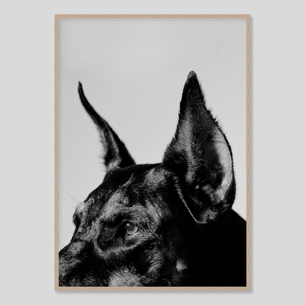 Star Fotograf Cyrill Matte exklusiv für die online Galerie Edition3000