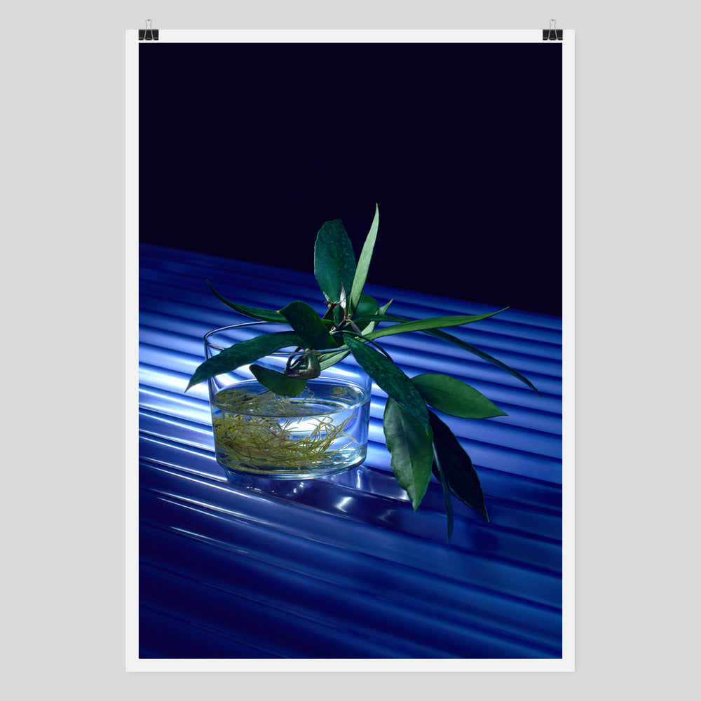 pflanzen poster by Claude Gasser for edition 3000