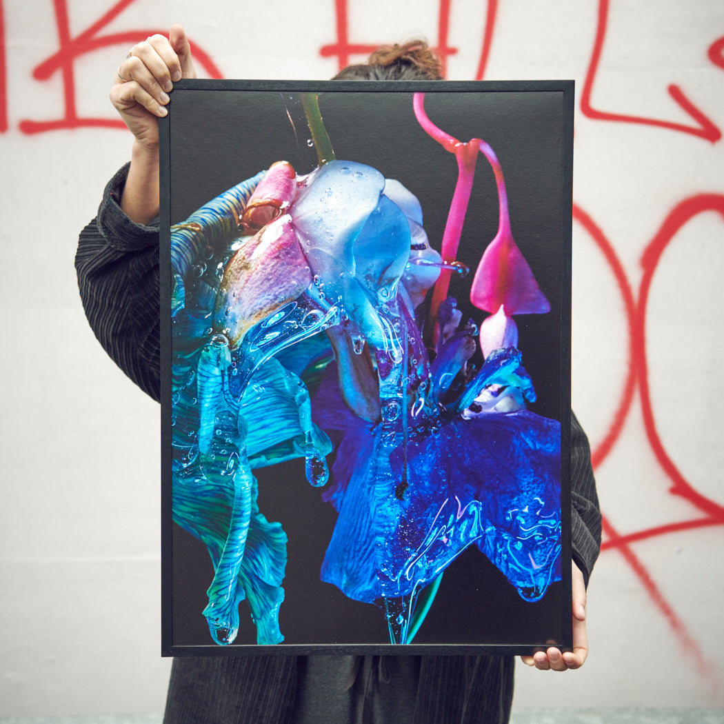 Blumen Foto Poster von Studio Vegete und Studio Tobias Siebrecht für Edition3000