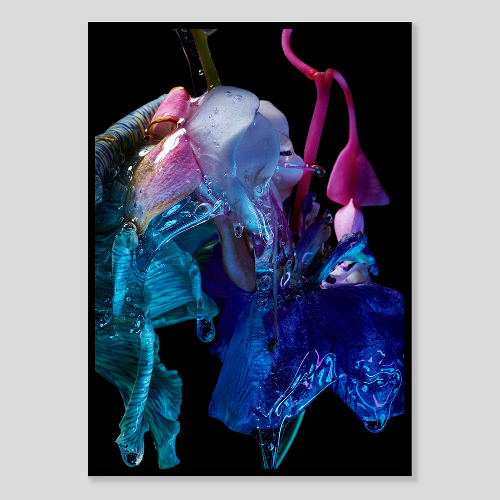 Blumen Fotografie Poster von Studio Vegete und Studio Tobias Siebrecht für Edition3000