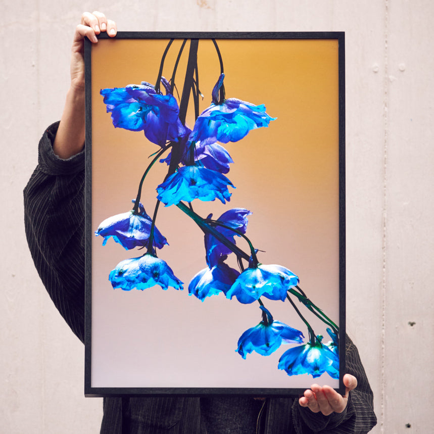 Blumen Fotografie Poster von Studio Vegete und Studio Tobias Siebrecht für Edition3000