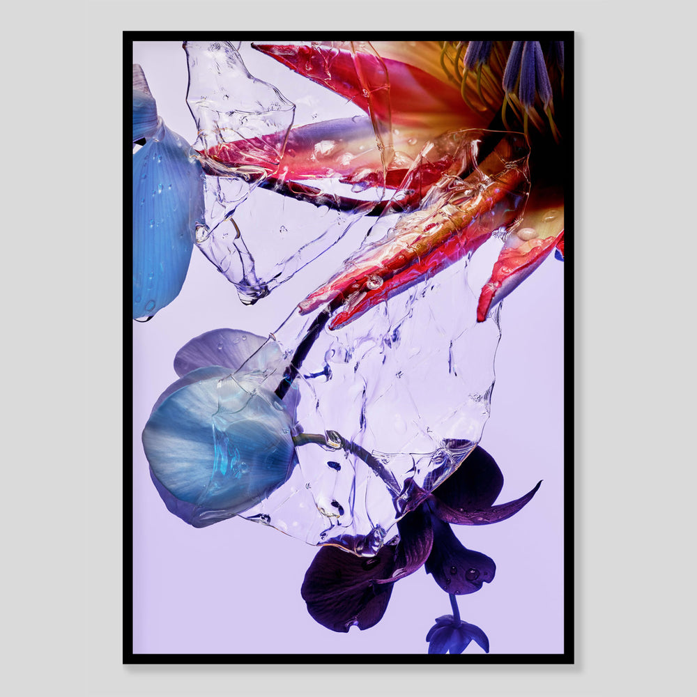 Blumen Fotografie Poster von Studio Vegete und Studio Tobias Siebrecht für Edition3000