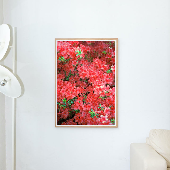 Red blooming flowers 35mm analog photography poster art print by edition3000