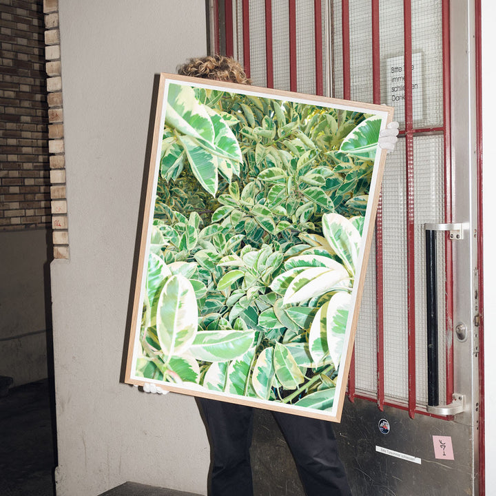 Tropical leaves photo poster art pint by the online gallery Edition3000 and Claude Gasser