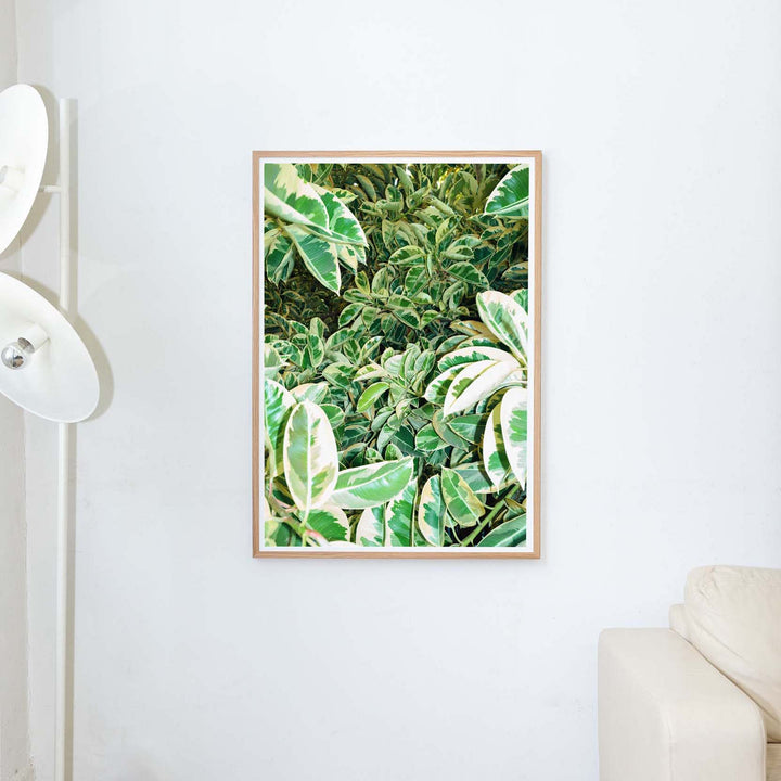 Edition3000 Wall Art Photography poster of green leaves by Claude Gasser