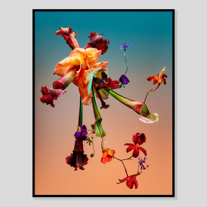 Blumen Fotografie Poster von Studio Vegete und Studio Tobias Siebrecht für Edition3000
