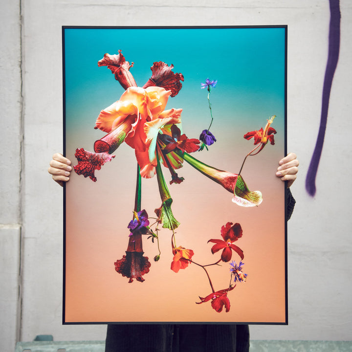 Blumen Foto Poster von Studio Vegete und Studio Tobias Siebrecht für Edition3000