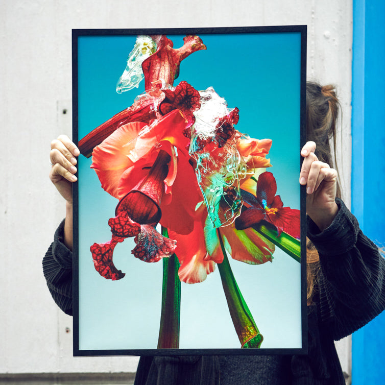 Blumen Foto Poster von Studio Vegete und Studio Tobias Siebrecht für Edition3000