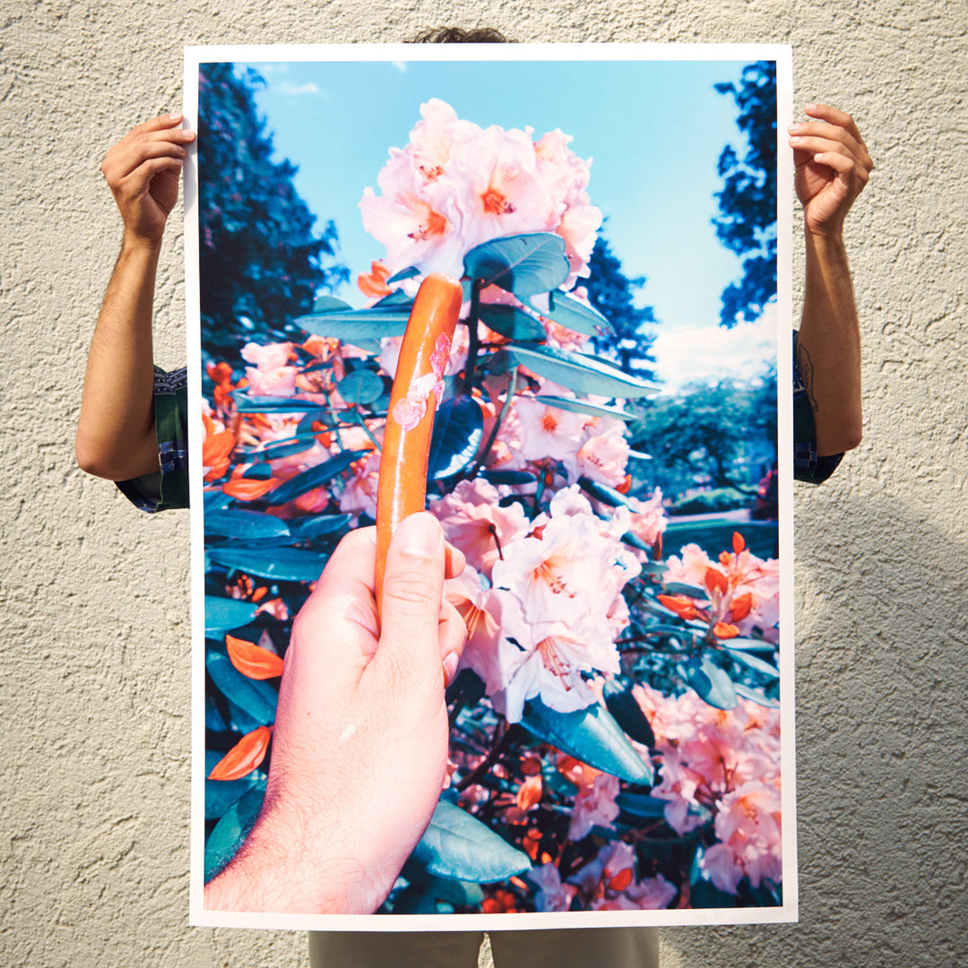 hand with sausage and flowers poster by photographer Aso Mohammadi